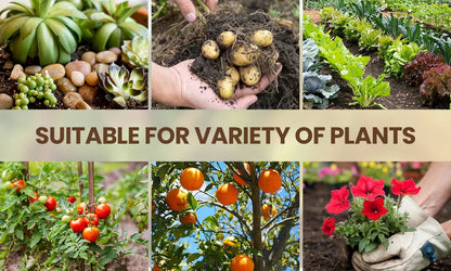 Soil Activator: Plants' Best Friend - Rejuvenate Your Plants ( BUY 1 GET 1 FREE )