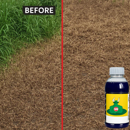 High Concentration Glufosinate Herbicide (Buy 1 Get 1 Free)