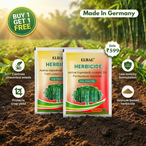 High Concentration Roots Burner (Made in Germany)