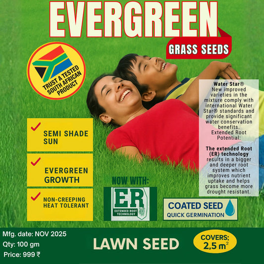 All Seasons Evergreen Grass Seeds | Fast Germination (Buy 1 Get 1 Free)