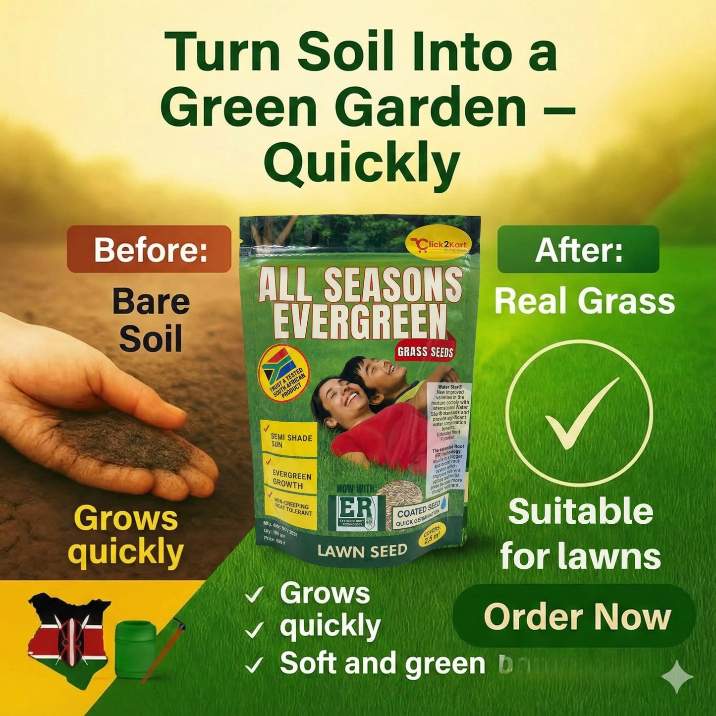 All Seasons Evergreen Grass Seeds | Fast Germination (Buy 1 Get 1 Free)
