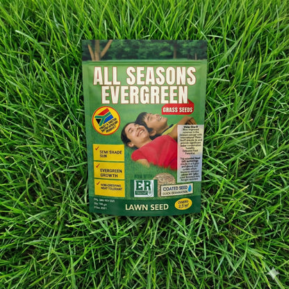 All Seasons Evergreen Grass Seeds | Fast Germination (Buy 1 Get 1 Free)