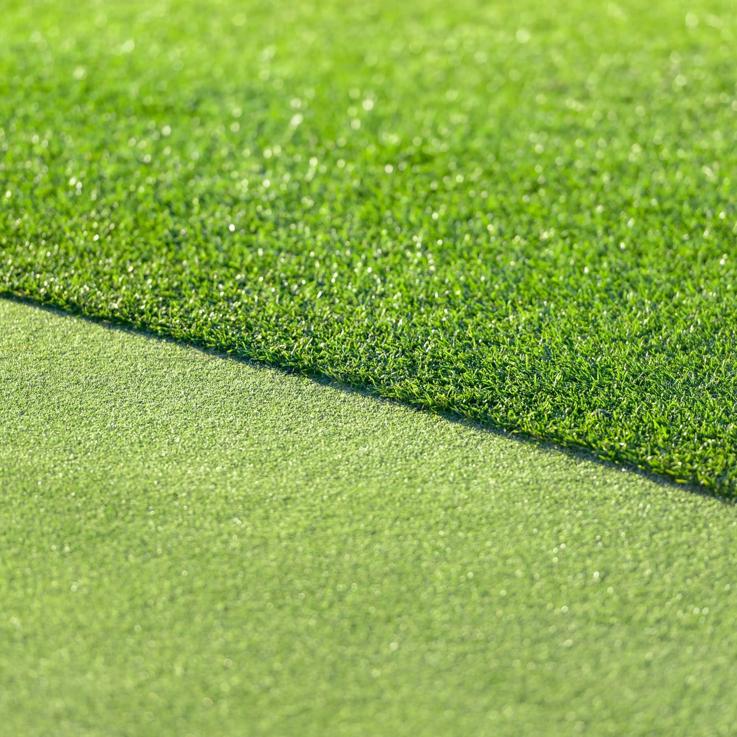 All Seasons Evergreen Grass Seeds | Fast Germination (Buy 1 Get 1 Free)