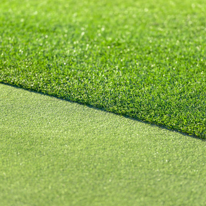 All Seasons Evergreen Grass Seeds | Fast Germination (Buy 1 Get 1 Free)